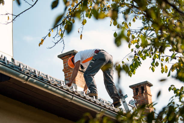 Best Roof Replacement Cost  in New London, MN