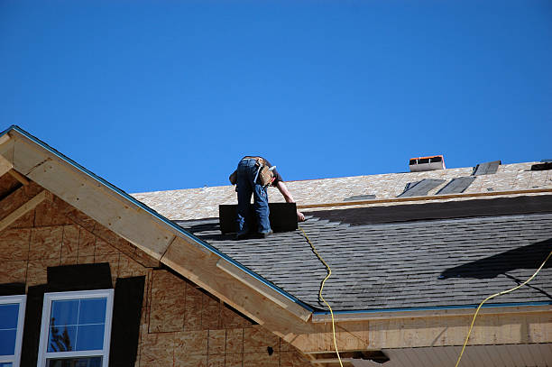 Best Roof Gutter Cleaning  in New London, MN