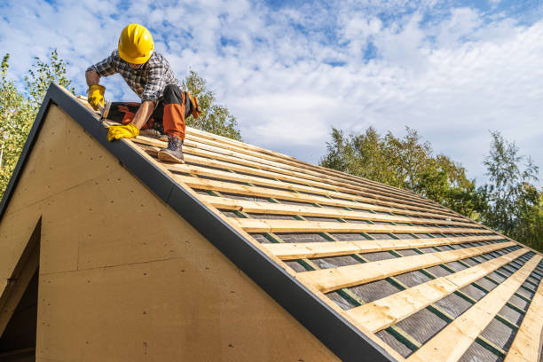 Professional Roofing Contractor in New London, MN