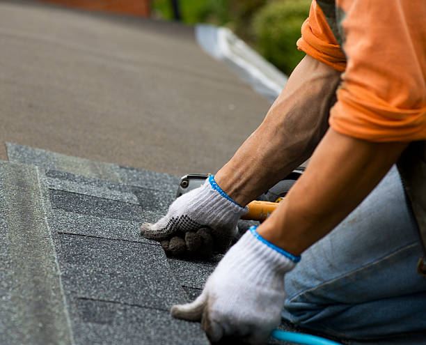 Best Roofing Contractor Near Me  in New London, MN