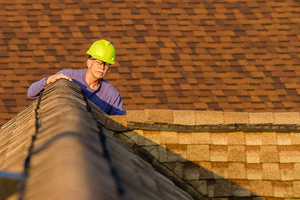 Best Roof Gutter Cleaning  in New London, MN