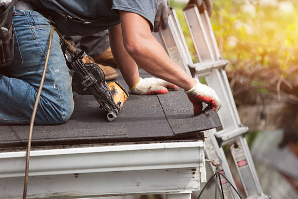 Best Roof Maintenance Services  in New London, MN