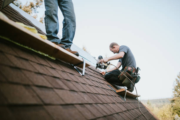 Best Roof Waterproofing Services  in New London, MN